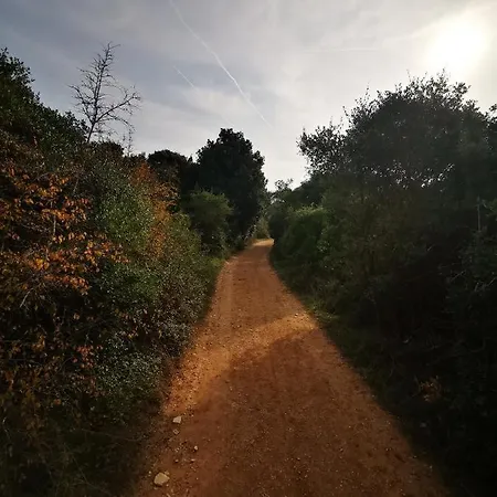 Zoanda Appartamento Premantura