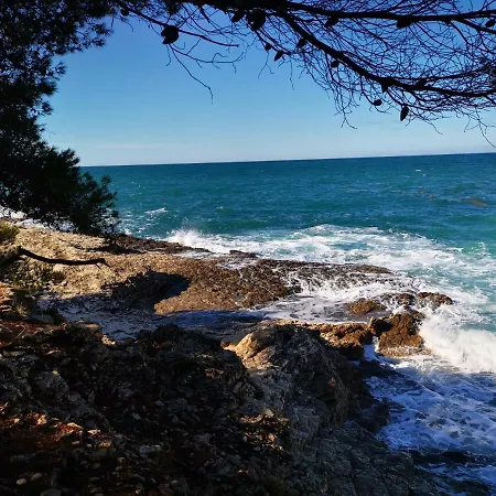 Zoanda 프레멘투라