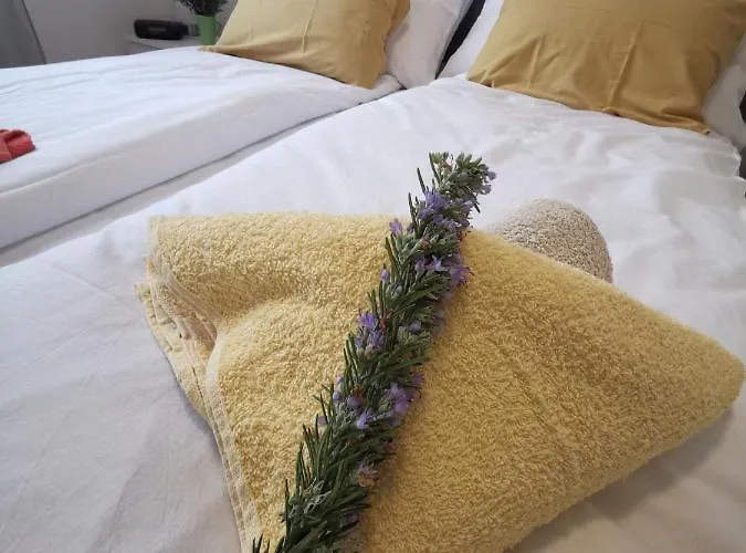 Zoanda * 프레멘투라