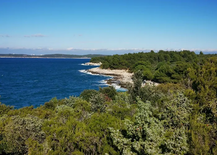 아파트 Zoanda 프레멘투라